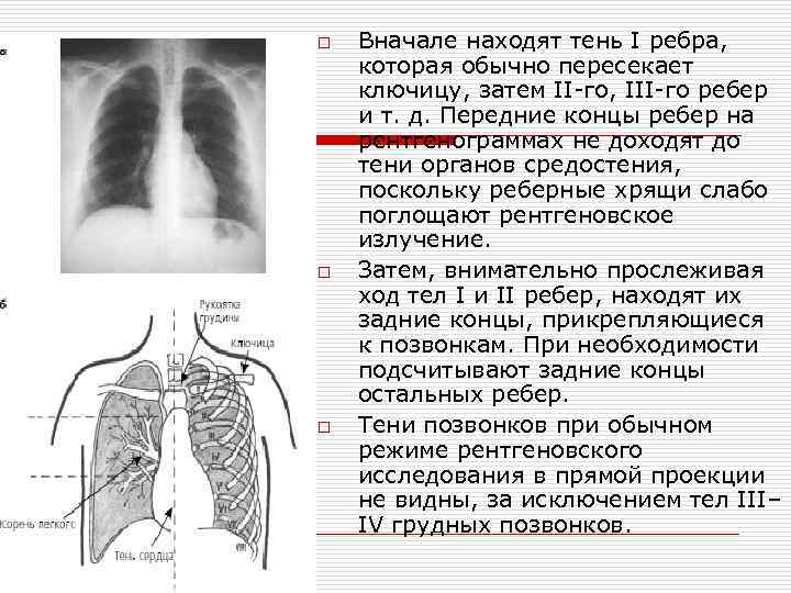 Методы обследования в пульмонологии. Методы исследования в пульмонологии.