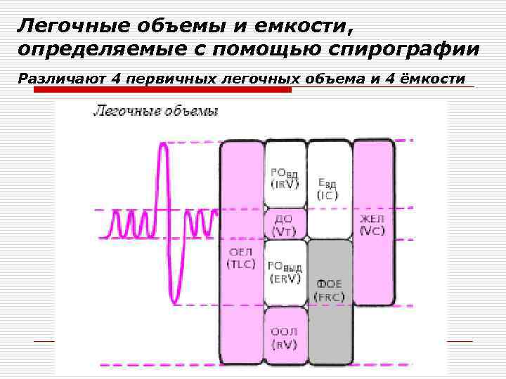 Легочные объемы схема