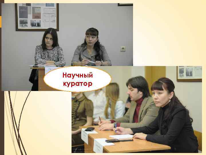 Научный куратор 