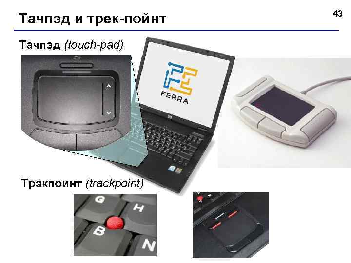 Тачпэд и трек-пойнт Тачпэд (touch-pad) Трэкпоинт (trackpoint) 43 