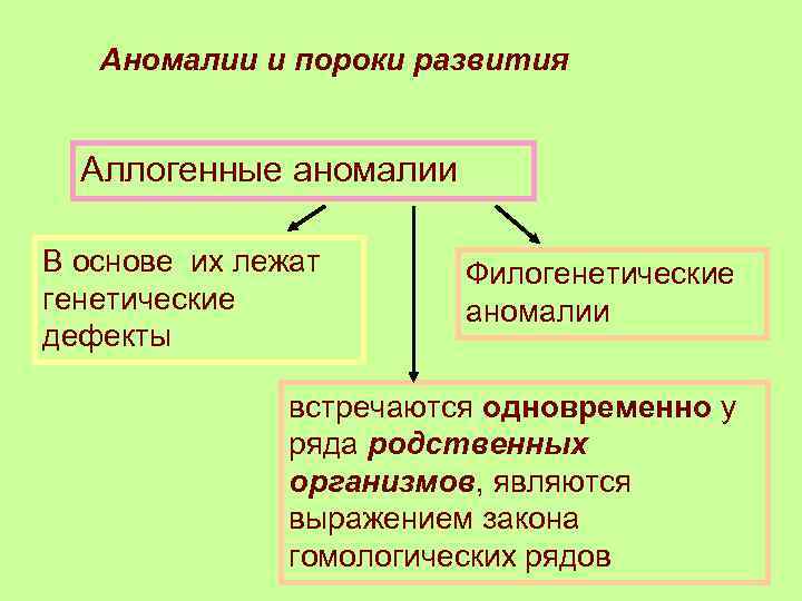 Аномалии и пороки развития Аллогенные аномалии В основе их лежат генетические дефекты Филогенетические аномалии