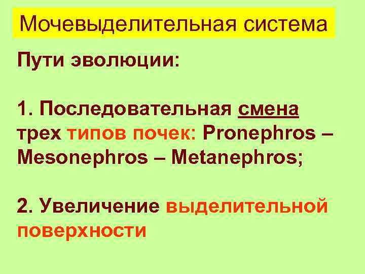 Мочевыделительная система Пути эволюции: 1. Последовательная смена трех типов почек: Pronephros – Mesonephros –