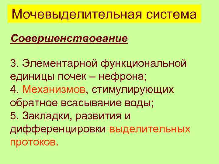 Мочевыделительная система Совершенствование 3. Элементарной функциональной единицы почек – нефрона; 4. Механизмов, стимулирующих обратное
