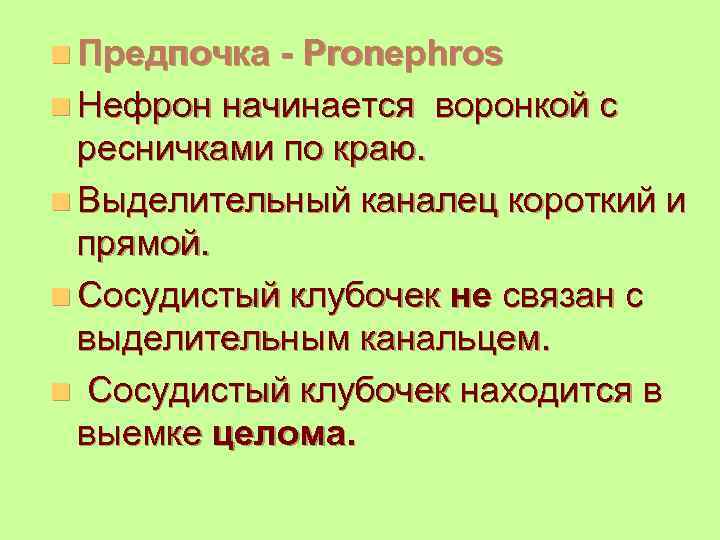 n Предпочка - Pronephros n Нефрон начинается воронкой с ресничками по краю. n Выделительный