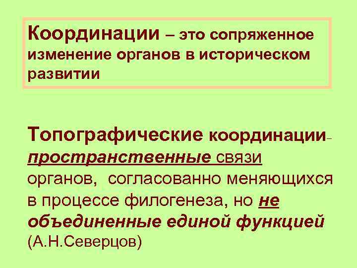 Координации – это сопряженное изменение органов в историческом развитии Топографические координации– пространственные связи органов,