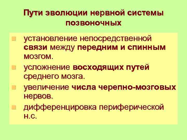 Пути эволюции нервной системы позвоночных установление непосредственной связи между передним и спинным мозгом. n