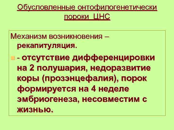 Обусловленные онтофилогенетически пороки ЦНС Механизм возникновения – рекапитуляция. n - отсутствие дифференцировки на 2