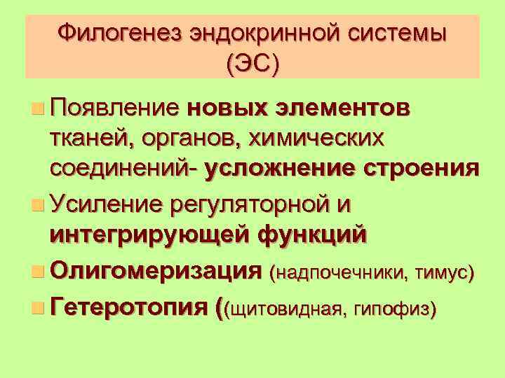Филогенез эндокринной системы (ЭС) n Появление новых элементов тканей, органов, химических соединений- усложнение строения