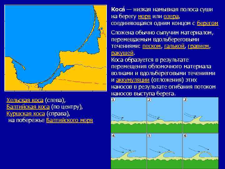 Коса — низкая намывная полоса суши на берегу моря или озера, соединяющаяся одним концом