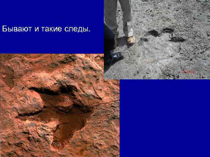 Бывают и такие следы. 
