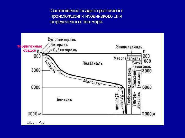 Коэффициент осадков. Пелагиаль и бенталь. Бенталь Литораль. Литораль бенталь пелагиаль. Литораль, сублитораль, профундаль.