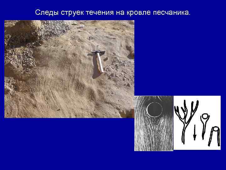 Следы струек течения на кровле песчаника. 