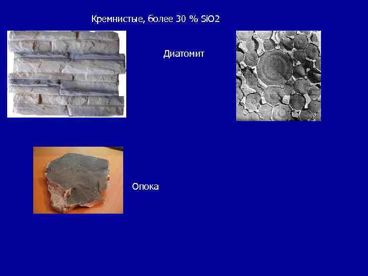 Кремнистые, более 30 % Si. O 2 Диатомит Опока 
