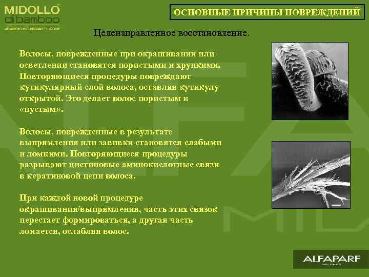 ОСНОВНЫЕ ПРИЧИНЫ ПОВРЕЖДЕНИЙ Целенаправленное восстановление. Волосы, поврежденные при окрашивании или осветлении становятся пористыми и
