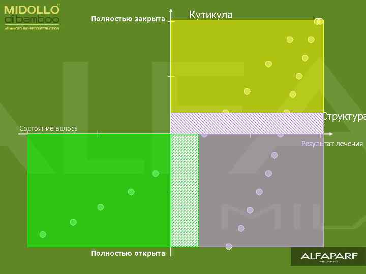 Полностью закрыта Кутикула Структура Состояние волоса Результат лечения Полностью открыта 