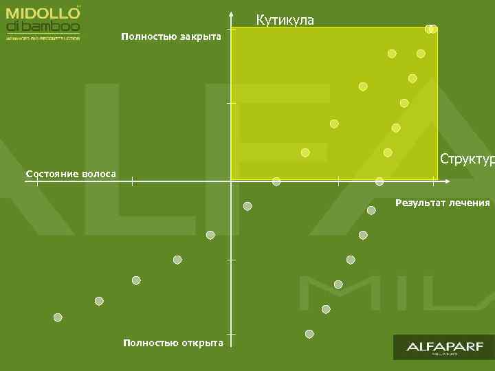 Кутикула Полностью закрыта Структур Состояние волоса Результат лечения Полностью открыта 