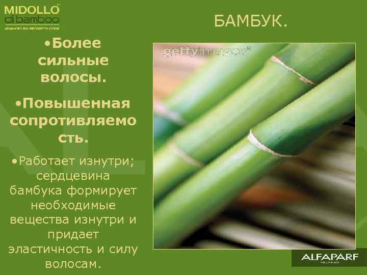 БАМБУК. • Более сильные волосы. • Повышенная сопротивляемо сть. • Работает изнутри; сердцевина бамбука