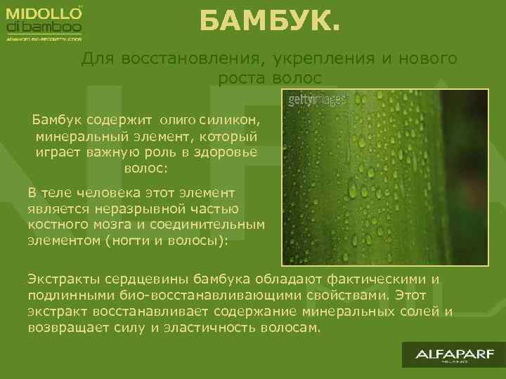 БАМБУК. Для восстановления, укрепления и нового роста волос Бамбук содержит олиго силикон, минеральный элемент,