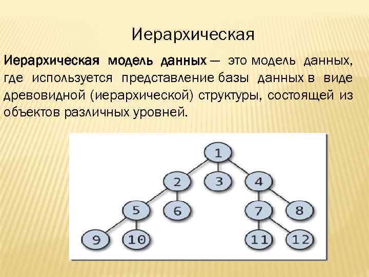 Иерархическая модель данных основные понятия графическое изображение примеры