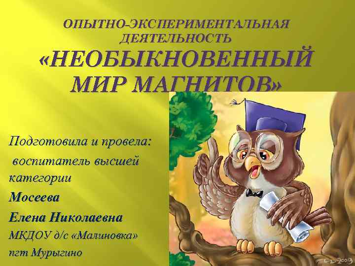 ОПЫТНО-ЭКСПЕРИМЕНТАЛЬНАЯ ДЕЯТЕЛЬНОСТЬ «НЕОБЫКНОВЕННЫЙ МИР МАГНИТОВ» Подготовила и провела: воспитатель высшей категории Мосеева Елена Николаевна