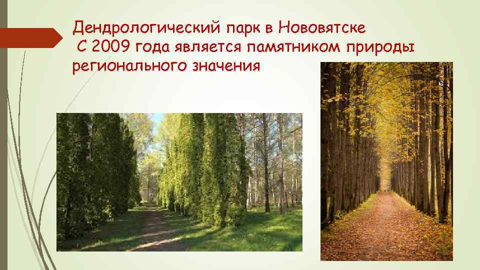 Дендрологический парк в Нововятске С 2009 года является памятником природы регионального значения 