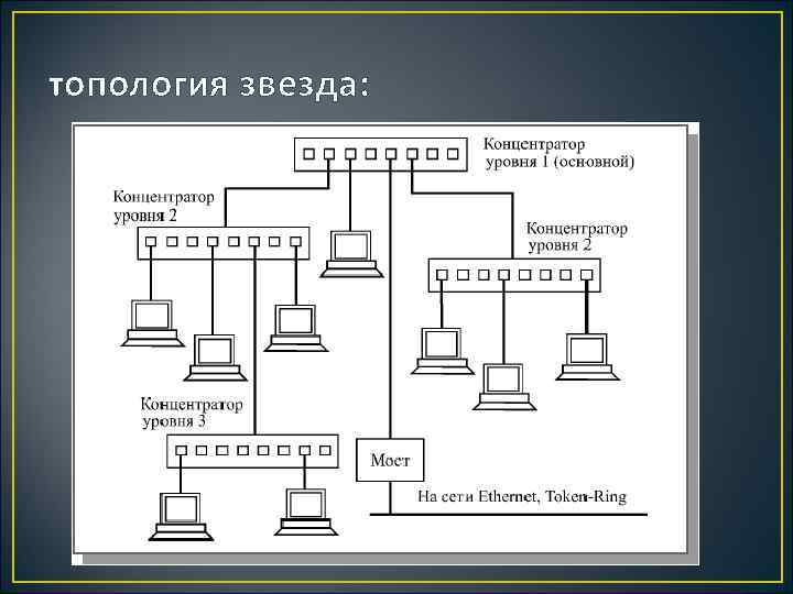 топология звезда: 