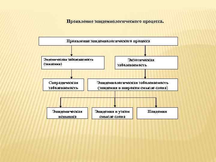 Проявление эпидемиологического процесса. Проявление эпидемиологического процесса Эндемическая заболеваемость (эпидемия) Спорадическая заболеваемость Эпидемическая вспышка Экзотическая