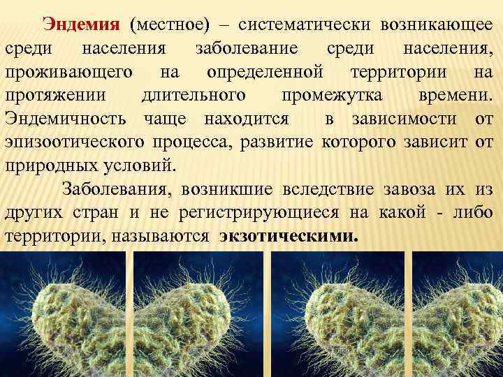 Эндемия (местное) – систематически возникающее среди населения заболевание среди населения, проживающего на определенной территории