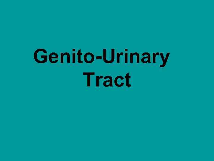 Genito-Urinary Tract 