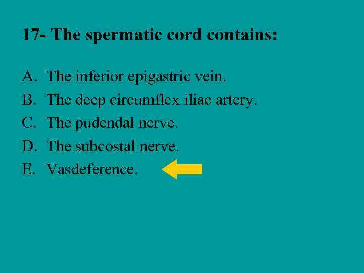 17 - The spermatic cord contains: A. B. C. D. E. The inferior epigastric