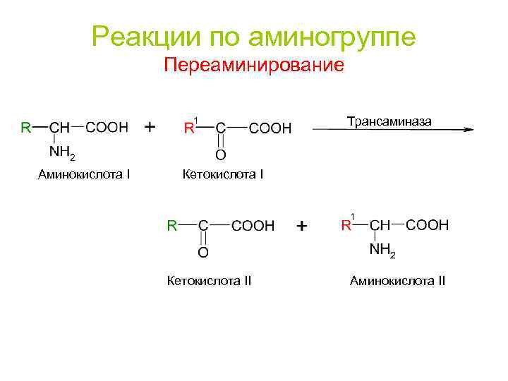 Кетокислоты аминокислот. Реакции аминокислот по аминогруппе. Реакция восстановительного трансаминирования. Реакции по аминогруппе (с кислотами,.