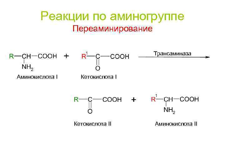 Реакции по аминогруппе Переаминирование Трансаминаза Аминокислота I Кетокислота II Аминокислота II 
