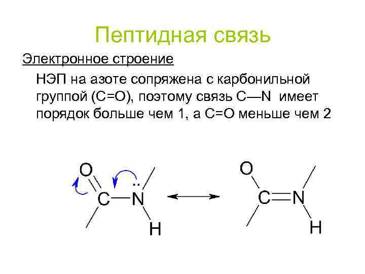 Связь c n. Пептидная амидная группа. Строение пептидной связи. Электронное строение пептидной связи и ее характеристика. Пептиды. Пространственное строение пептидной группы..