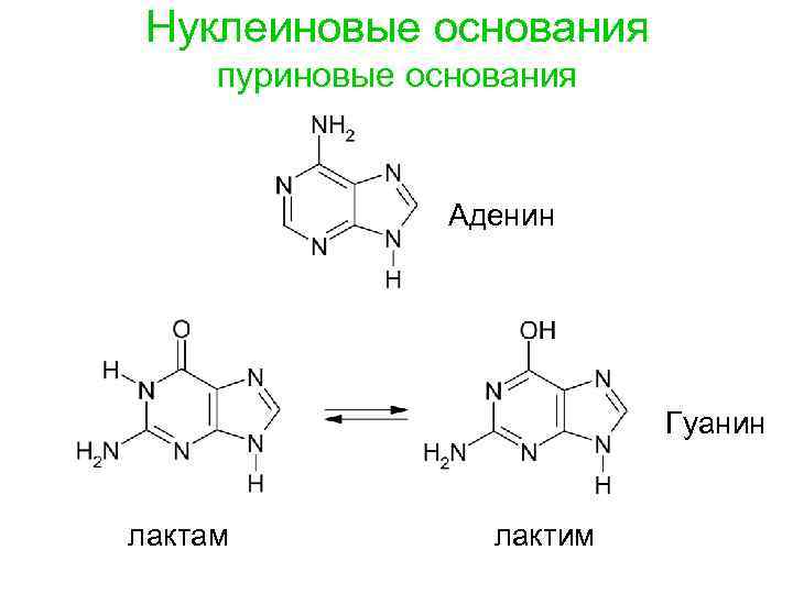 Схема таутомерных превращений гуанина - 88 фото