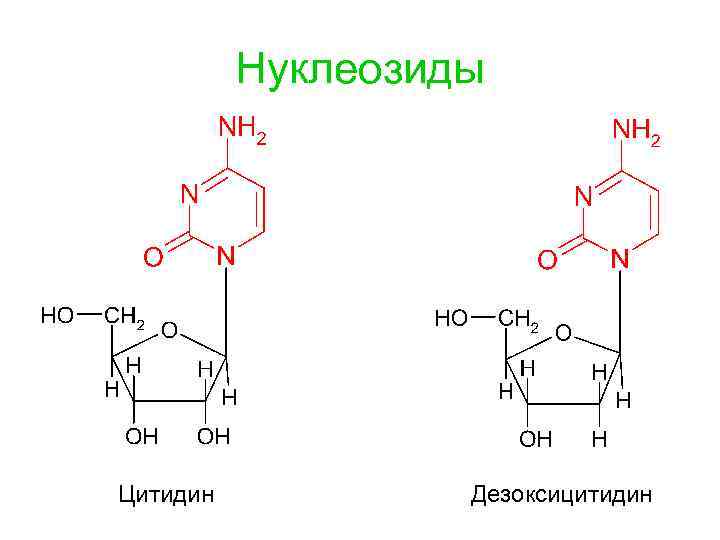 Нуклеозиды Цитидин Дезоксицитидин 