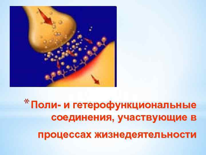 * Поли- и гетерофункциональные соединения, участвующие в процессах жизнедеятельности 