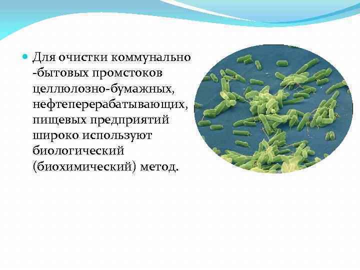  Для очистки коммунально -бытовых промстоков целлюлозно-бумажных, нефтеперерабатывающих, пищевых предприятий широко используют биологический (биохимический)