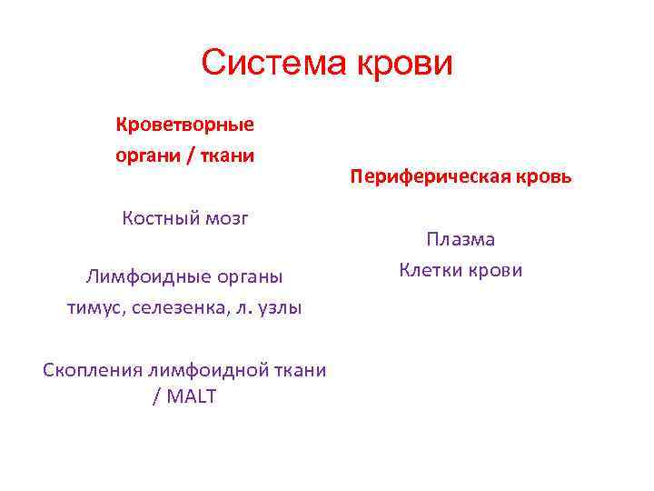 Система крови Кроветворные органи / ткани Костный мозг Лимфоидные органы тимус, селезенка, л. узлы