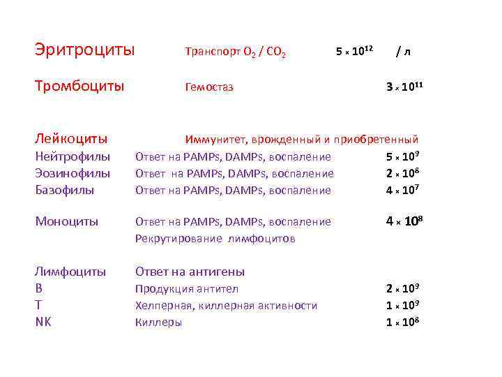 Эритроциты Транспорт O 2 / CO 2 Тромбоциты Гемостаз Лейкоциты Нейтрофилы Эозинофилы Базофилы 5