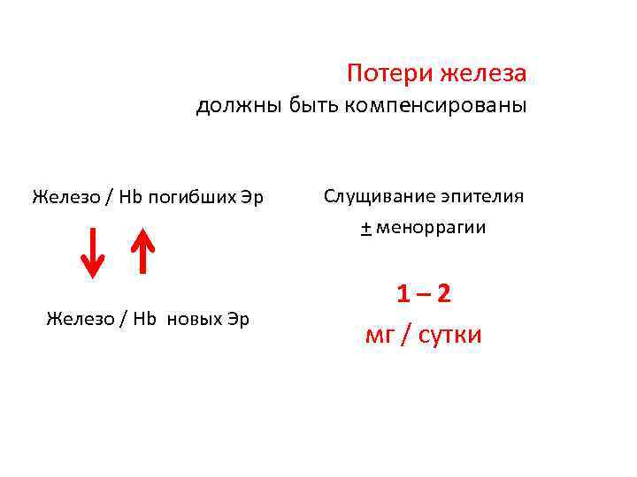 Потери железа должны быть компенсированы Железо / Hb погибших Эр Железо / Hb новых