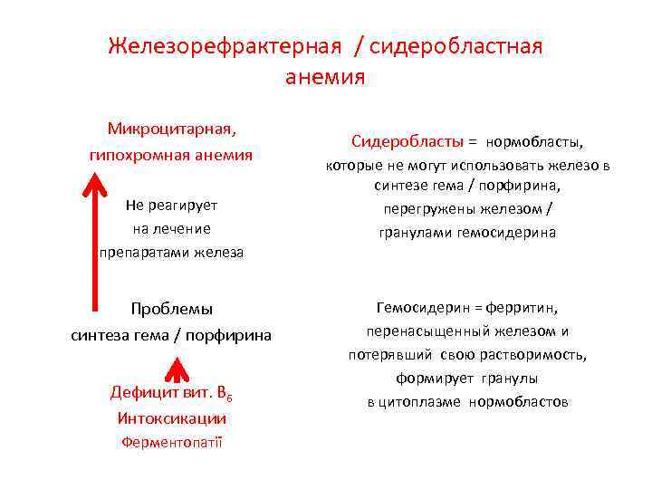 Сидероахрестические анемии причины механизмы развития клиника картина крови