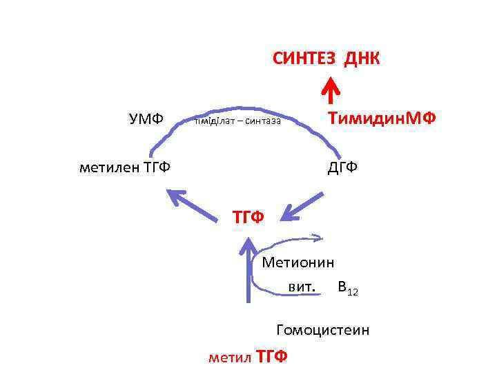 Синтез днк