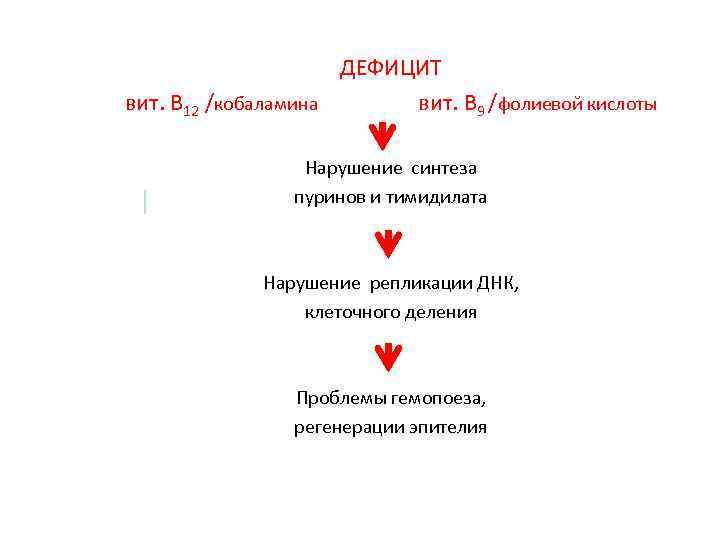 ДЕФИЦИТ вит. В 12 /кобаламина вит. В 9 /фолиевой кислоты Нарушение синтеза пуринов и