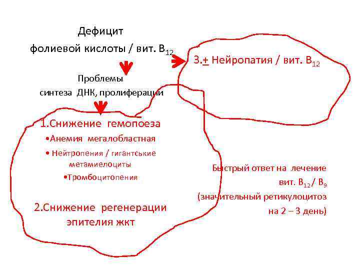 Дефицит фолиевой кислоты / вит. В 12 3. + Нейропатия / вит. В 12