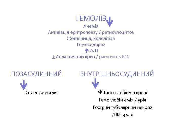 ГЕМОЛІЗ Анемія Aктивація еритропоезу / ретикулоцитоз Жовтяниця, холелітіаз Гемосидероз АЛТ + Апластичний криз /
