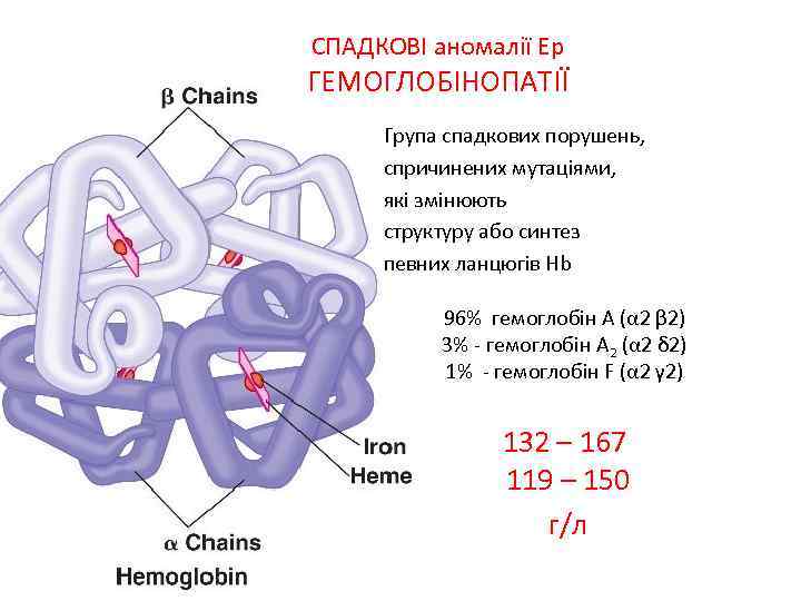 СПАДКОВІ аномалії Ер ГЕМОГЛОБІНОПАТІЇ Група спадкових порушень, спричинених мутаціями, які змінюють структуру або синтез