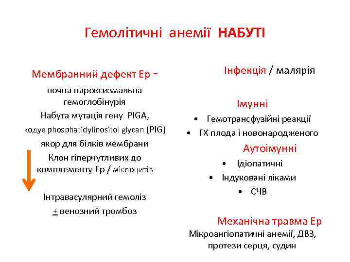 Гемолітичні анемії НАБУТІ Мембранний дефект Ер ночна пароксизмальна гемоглобінурія Набута мутація гену PIGA, кодує