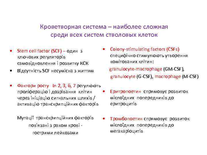 Кроветворная система – наиболее сложная среди всех систем стволовых клеток • Stem cell factor