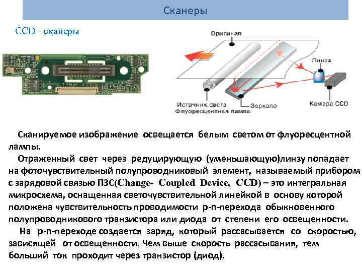 Сканеры CCD - сканеры Сканируемое изображение освещается белым светом от флуоресцентной лампы. Отраженный свет