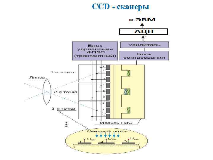 CCD - сканеры 